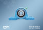 China 20mm Flange Mounted Ball Bearings UCP204 , Water Pump Bearing exporter